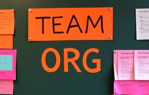 team disquantified org