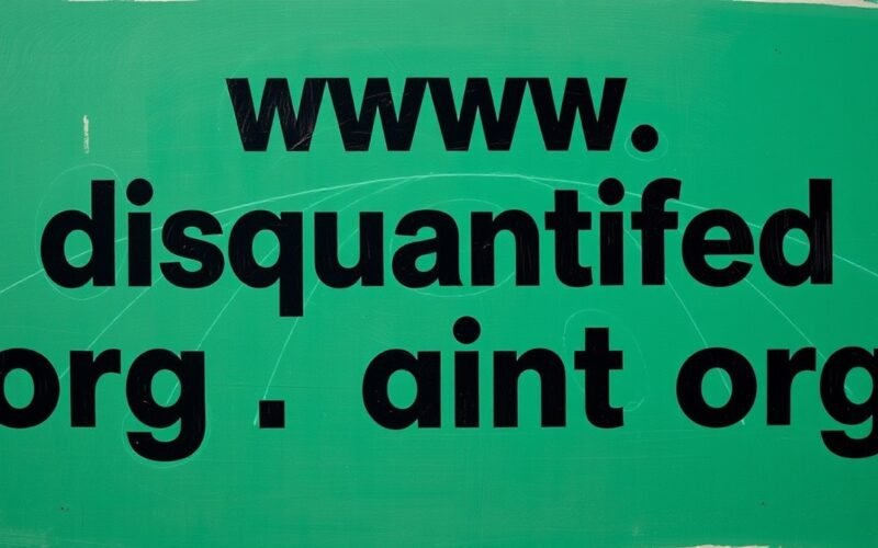 www. disquantified org